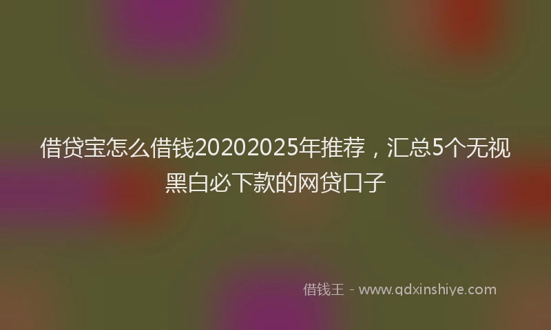 借贷宝怎么借钱20202025年推荐，汇总5个无视黑白必下款的网贷口子