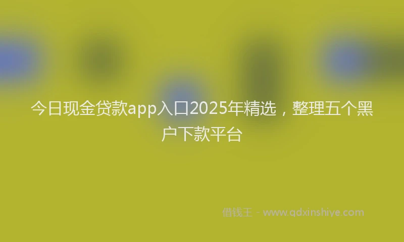 今日现金贷款app入口2025年精选，整理五个黑户下款平台