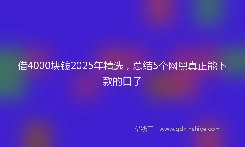 借4000块钱2025年精选，总结5个网黑真正能下款的口子