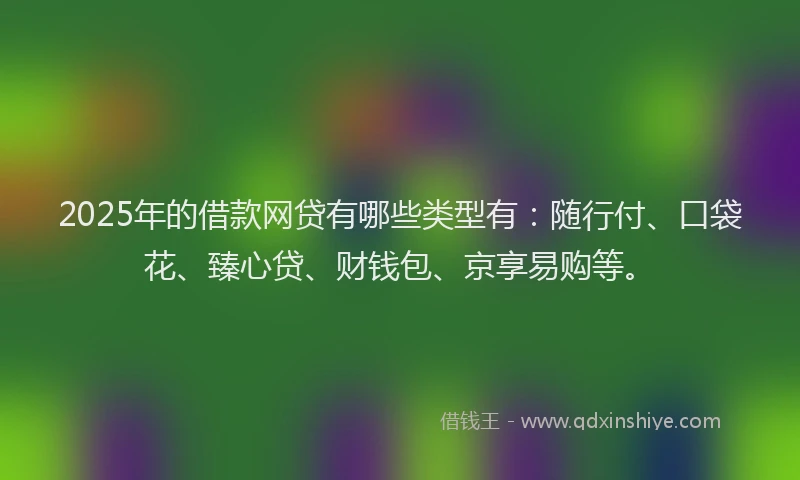 2025年的借款网贷有哪些类型有：随行付、口袋花、臻心贷、财钱包、京享易购等。