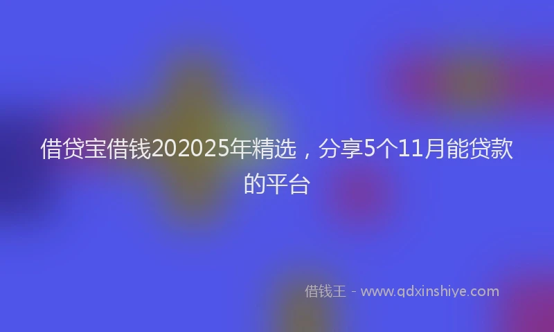 借贷宝借钱202025年精选，分享5个11月能贷款的平台