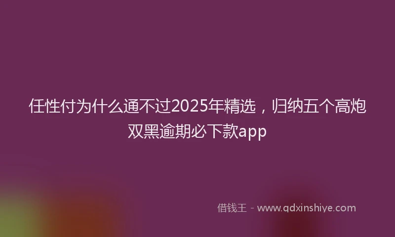 任性付为什么通不过2025年精选，归纳五个高炮双黑逾期必下款app