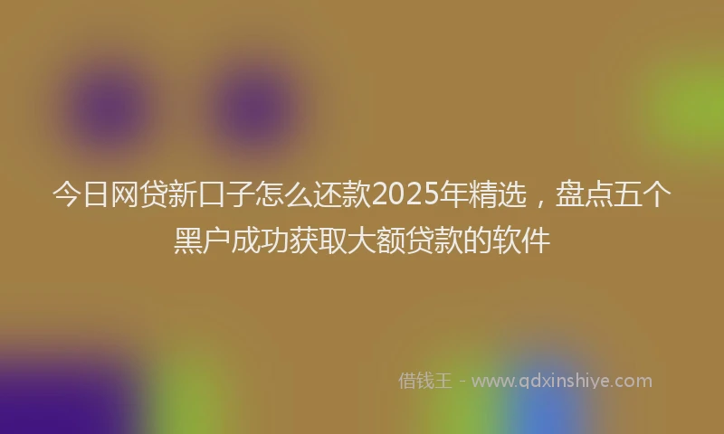 今日网贷新口子怎么还款2025年精选，盘点五个黑户成功获取大额贷款的软件