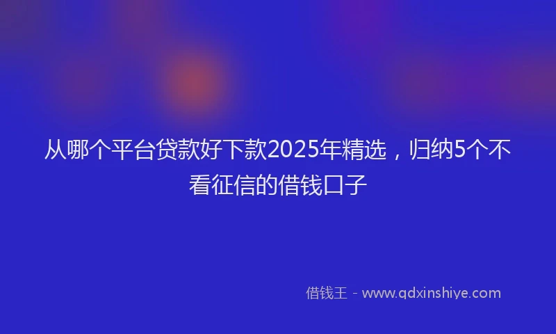 从哪个平台贷款好下款2025年精选，归纳5个不看征信的借钱口子