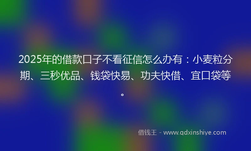 2025年的借款口子不看征信怎么办有：小麦粒分期、三秒优品、钱袋快易、功夫快借、宜口袋等。