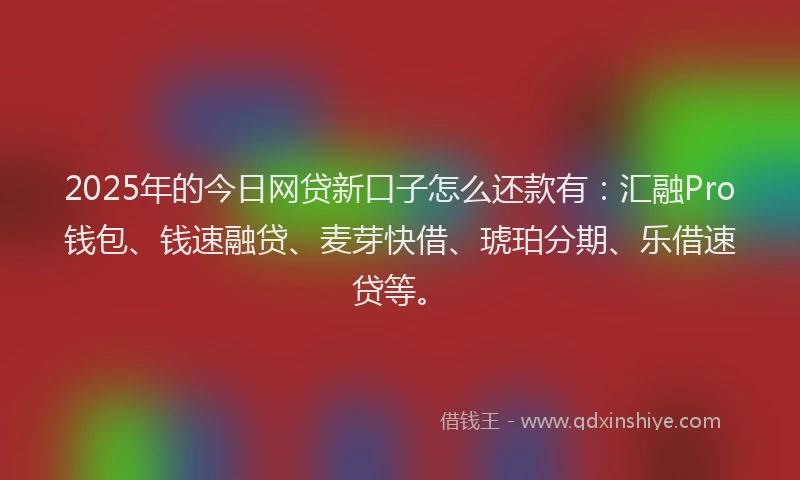 2025年的今日网贷新口子怎么还款有：汇融Pro钱包、钱速融贷、麦芽快借、琥珀分期、乐借速贷等。