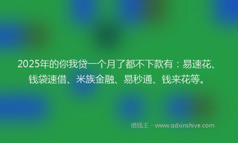 2025年的你我贷一个月了都不下款有：易速花、钱袋速借、米族金融、易秒通、钱来花等。