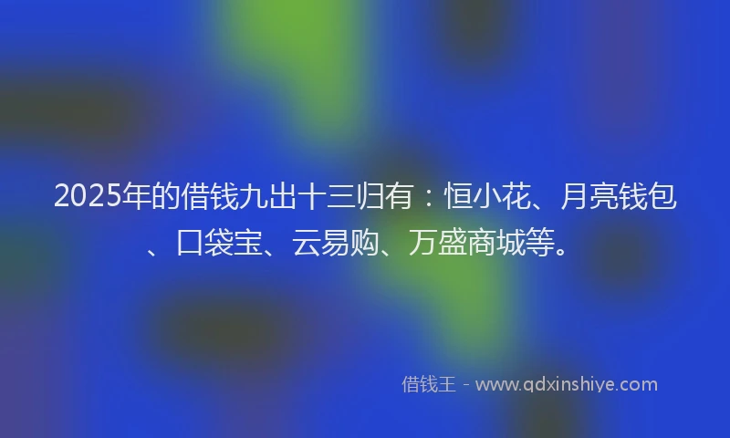 2025年的借钱九出十三归有：恒小花、月亮钱包、口袋宝、云易购、万盛商城等。