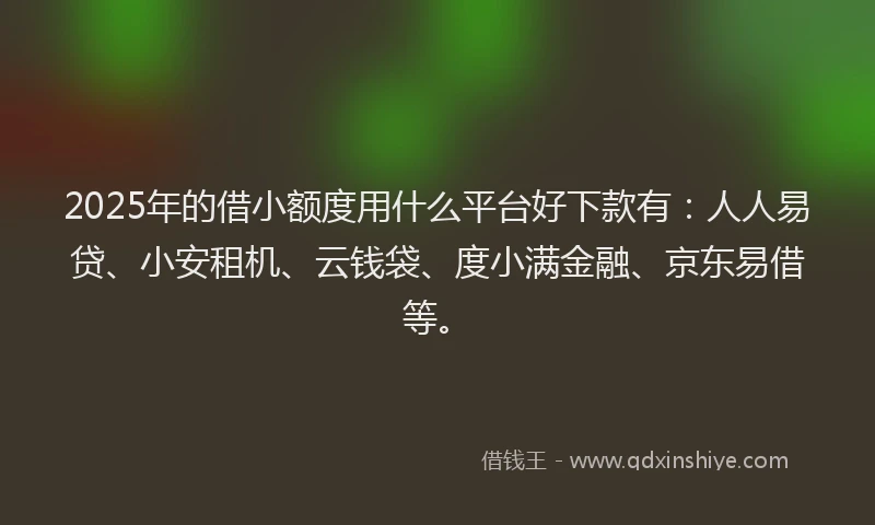 2025年的借小额度用什么平台好下款有：人人易贷、小安租机、云钱袋、度小满金融、京东易借等。