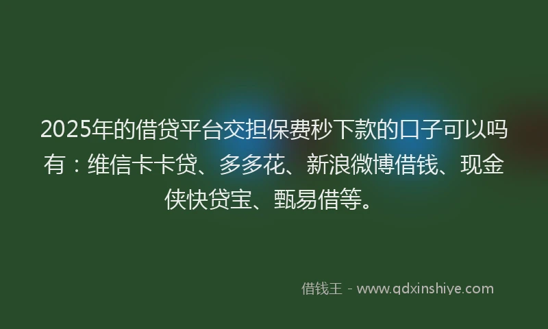 2025年的借贷平台交担保费秒下款的口子可以吗有：维信卡卡贷、多多花、新浪微博借钱、现金侠快贷宝、甄易借等。