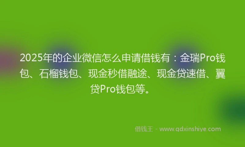 2025年的企业微信怎么申请借钱有：金瑞Pro钱包、石榴钱包、现金秒借融途、现金贷速借、翼贷Pro钱包等。