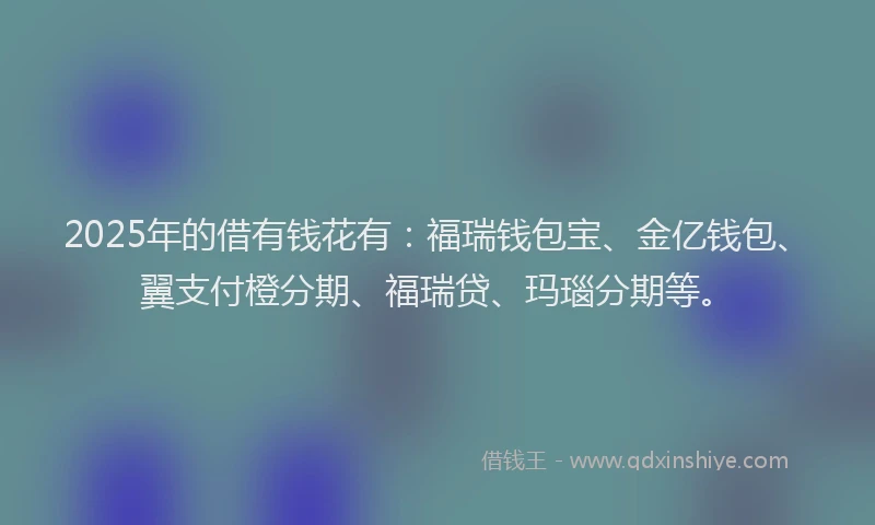 2025年的借有钱花有：福瑞钱包宝、金亿钱包、翼支付橙分期、福瑞贷、玛瑙分期等。