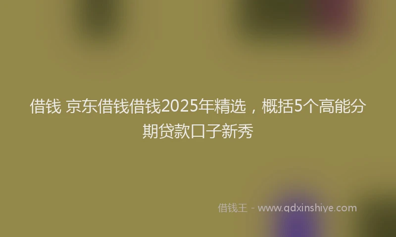 借钱 京东借钱借钱2025年精选，概括5个高能分期贷款口子新秀