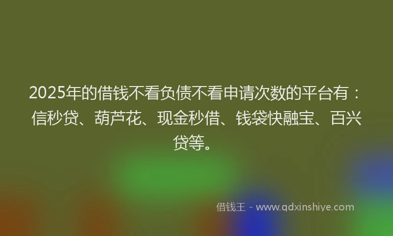 2025年的借钱不看负债不看申请次数的平台有：信秒贷、葫芦花、现金秒借、钱袋快融宝、百兴贷等。