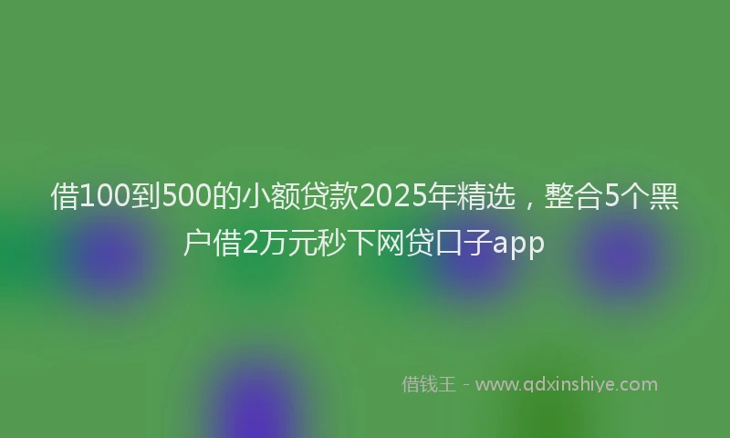 借100到500的小额贷款2025年精选，整合5个黑户借2万元秒下网贷口子app