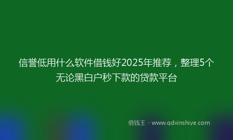 信誉低用什么软件借钱好2025年推荐，整理5个无论黑白户秒下款的贷款平台