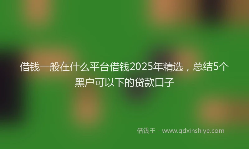 借钱一般在什么平台借钱2025年精选，总结5个黑户可以下的贷款口子