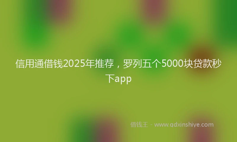 信用通借钱2025年推荐，罗列五个5000块贷款秒下app