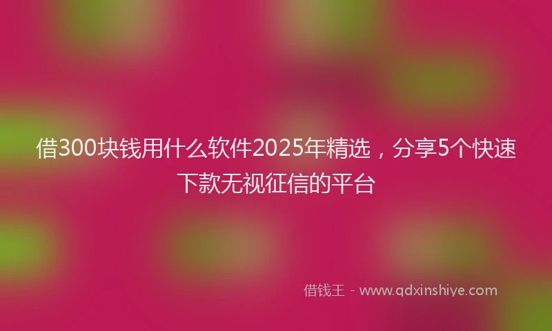 借300块钱用什么软件2025年精选，分享5个快速下款无视征信的平台