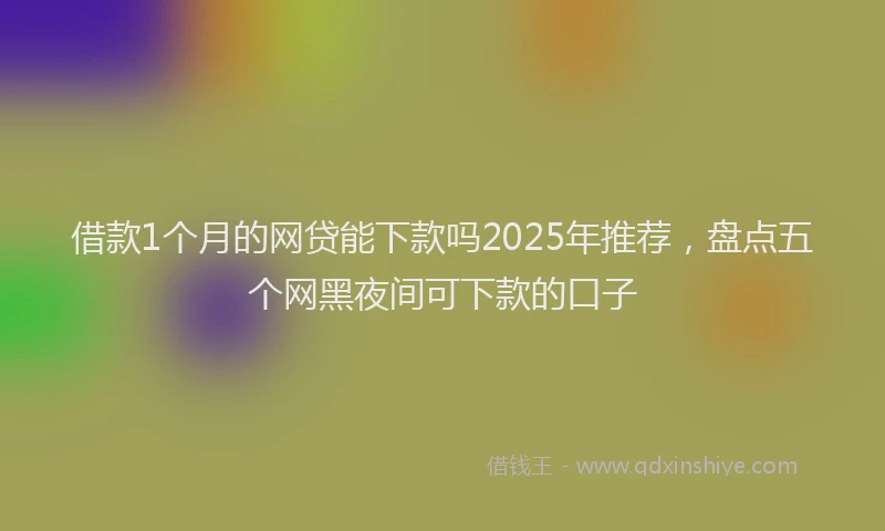 借款1个月的网贷能下款吗2025年推荐，盘点五个网黑夜间可下款的口子