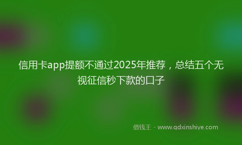 信用卡app提额不通过2025年推荐，总结五个无视征信秒下款的口子