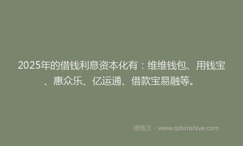 2025年的借钱利息资本化有：维维钱包、用钱宝、惠众乐、亿运通、借款宝易融等。