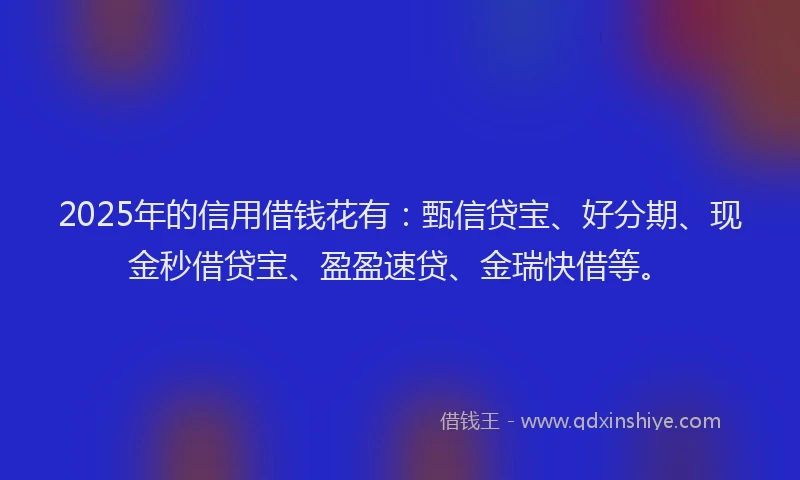 2025年的信用借钱花有：甄信贷宝、好分期、现金秒借贷宝、盈盈速贷、金瑞快借等。