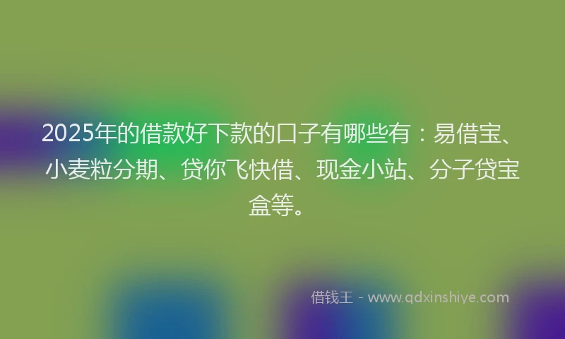 2025年的借款好下款的口子有哪些有：易借宝、小麦粒分期、贷你飞快借、现金小站、分子贷宝盒等。