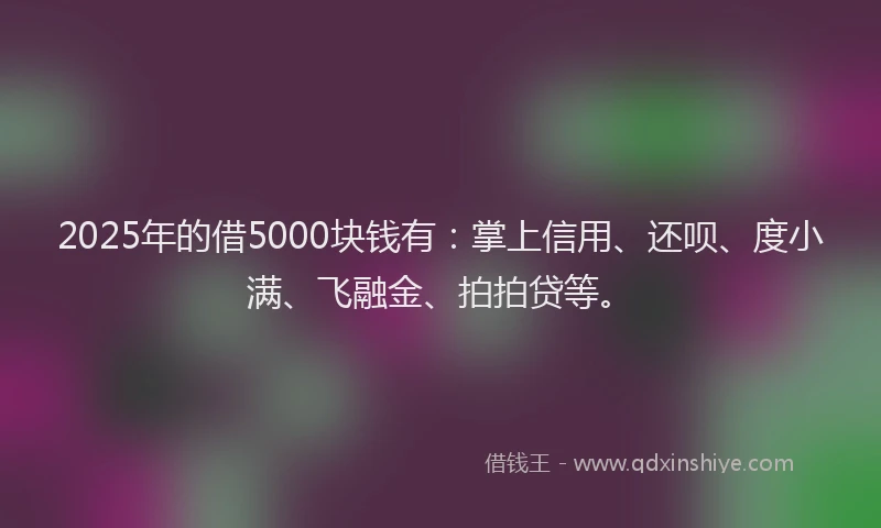 2025年的借5000块钱有：掌上信用、还呗、度小满、飞融金、拍拍贷等。