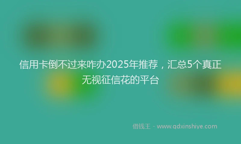 信用卡倒不过来咋办2025年推荐，汇总5个真正无视征信花的平台