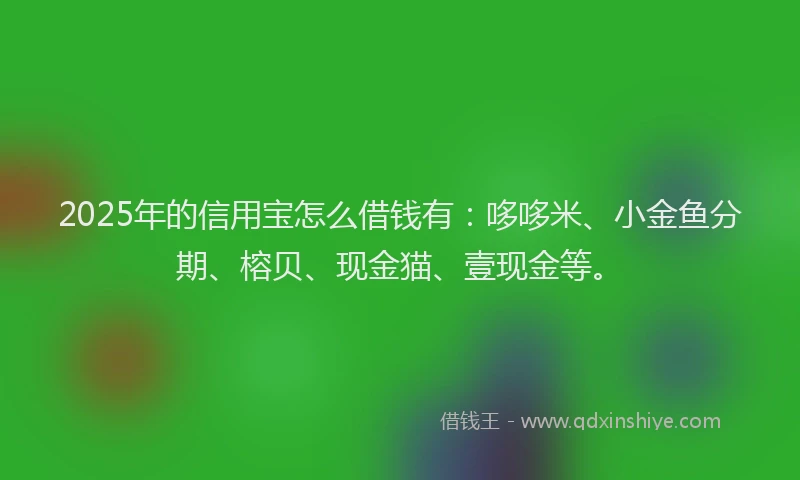 2025年的信用宝怎么借钱有：哆哆米、小金鱼分期、榕贝、现金猫、壹现金等。