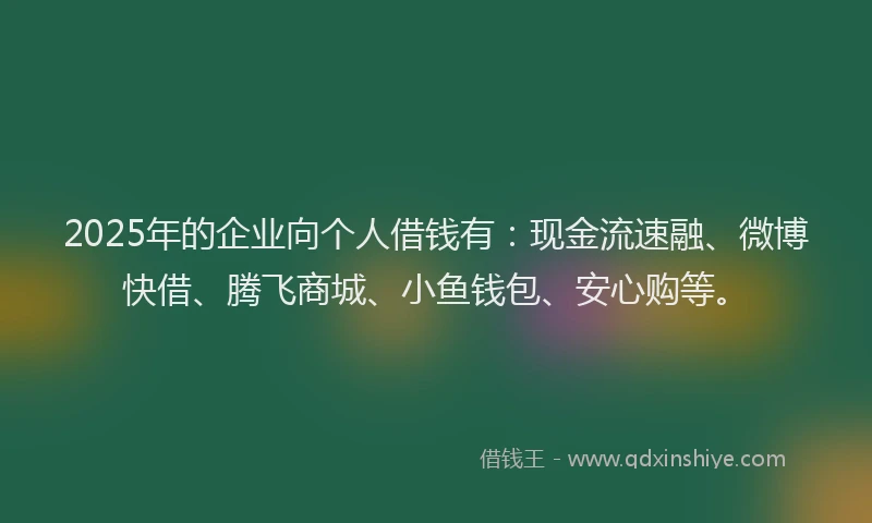 2025年的企业向个人借钱有：现金流速融、微博快借、腾飞商城、小鱼钱包、安心购等。