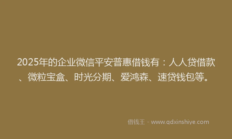2025年的企业微信平安普惠借钱有：人人贷借款、微粒宝盒、时光分期、爱鸿森、速贷钱包等。