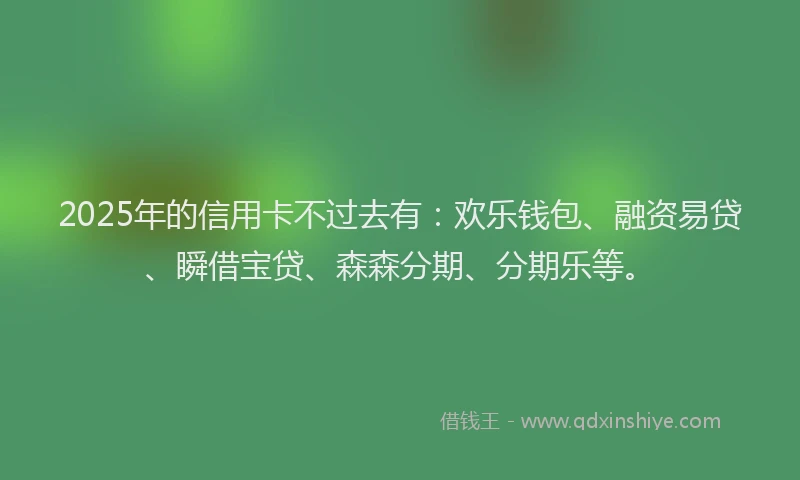 2025年的信用卡不过去有：欢乐钱包、融资易贷、瞬借宝贷、森森分期、分期乐等。