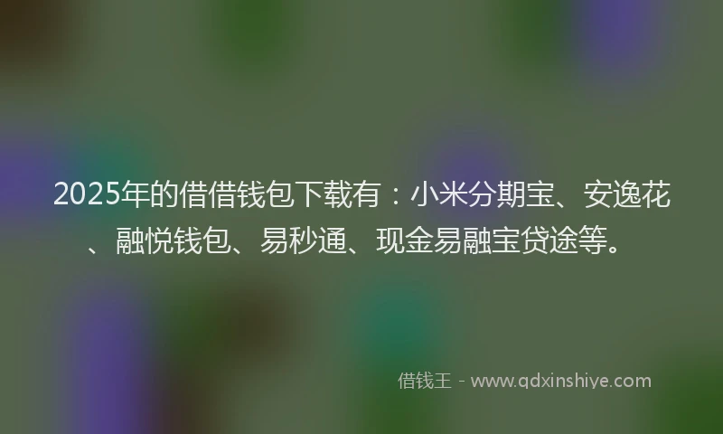 2025年的借借钱包下载有：小米分期宝、安逸花、融悦钱包、易秒通、现金易融宝贷途等。