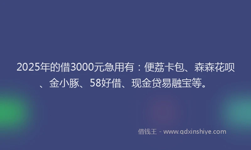 2025年的借3000元急用有：便荔卡包、森森花呗、金小豚、58好借、现金贷易融宝等。