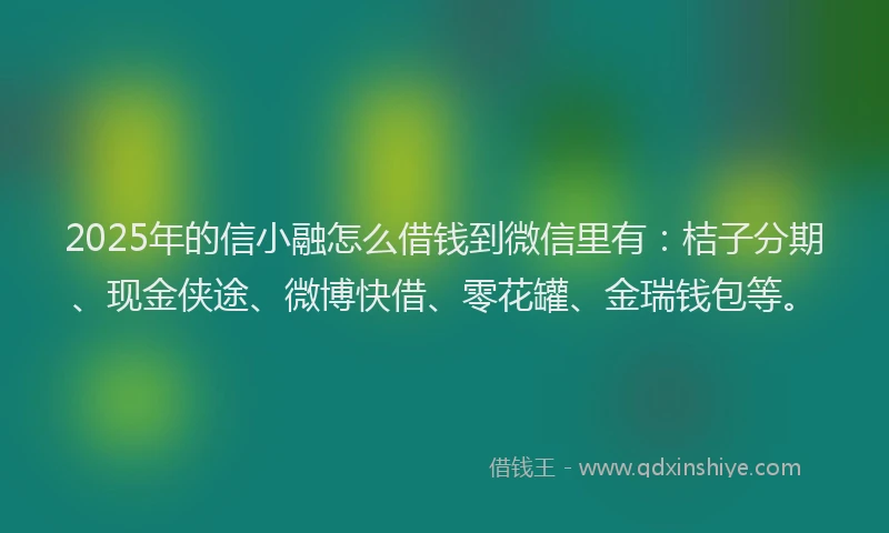 2025年的信小融怎么借钱到微信里有：桔子分期、现金侠途、微博快借、零花罐、金瑞钱包等。