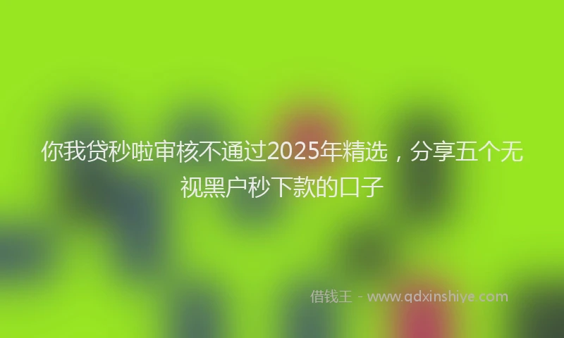 你我贷秒啦审核不通过2025年精选，分享五个无视黑户秒下款的口子