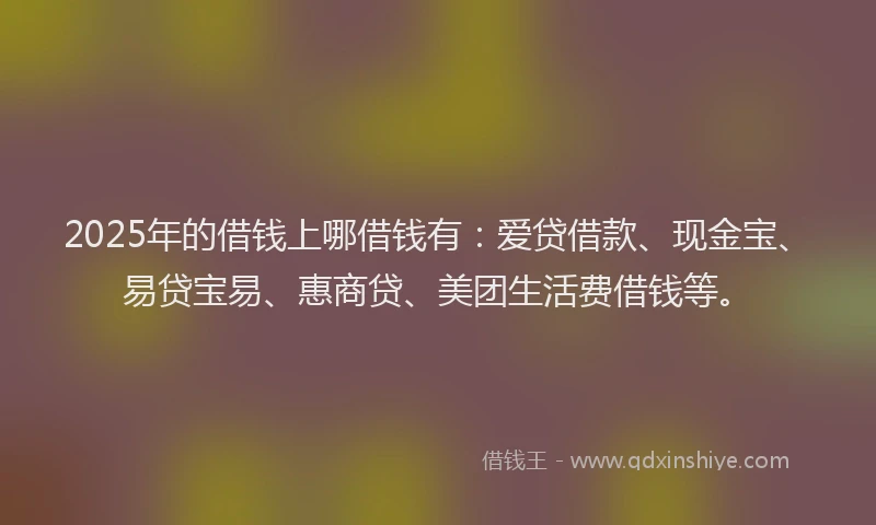 2025年的借钱上哪借钱有：爱贷借款、现金宝、易贷宝易、惠商贷、美团生活费借钱等。