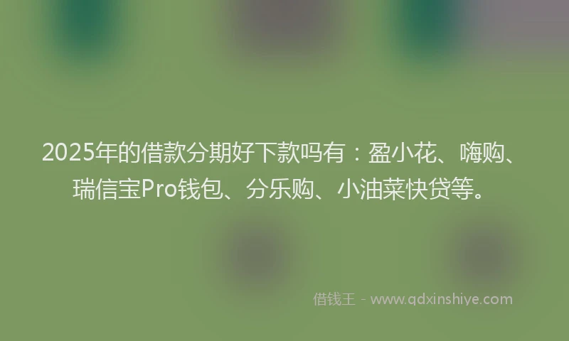 2025年的借款分期好下款吗有：盈小花、嗨购、瑞信宝Pro钱包、分乐购、小油菜快贷等。