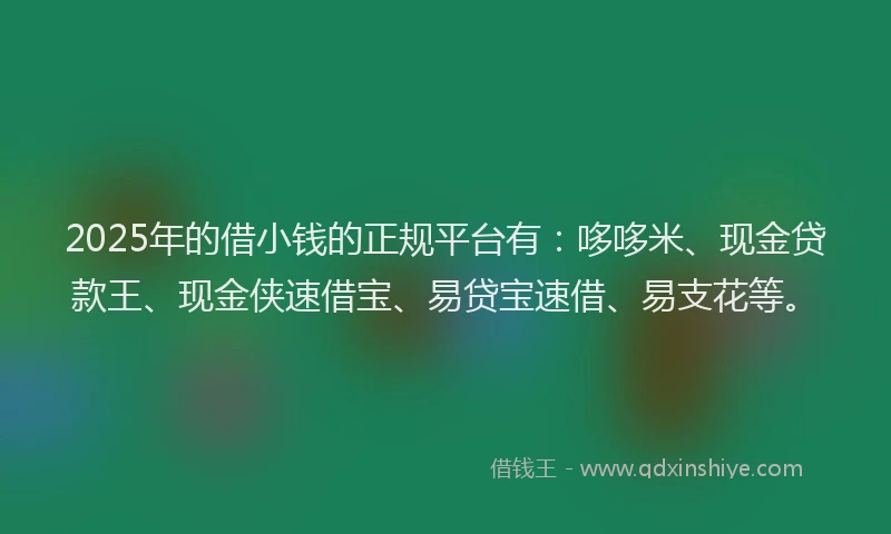 2025年的借小钱的正规平台有：哆哆米、现金贷款王、现金侠速借宝、易贷宝速借、易支花等。