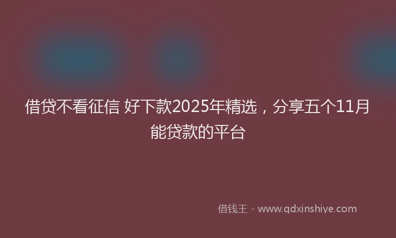 借贷不看征信 好下款2025年精选，分享五个11月能贷款的平台