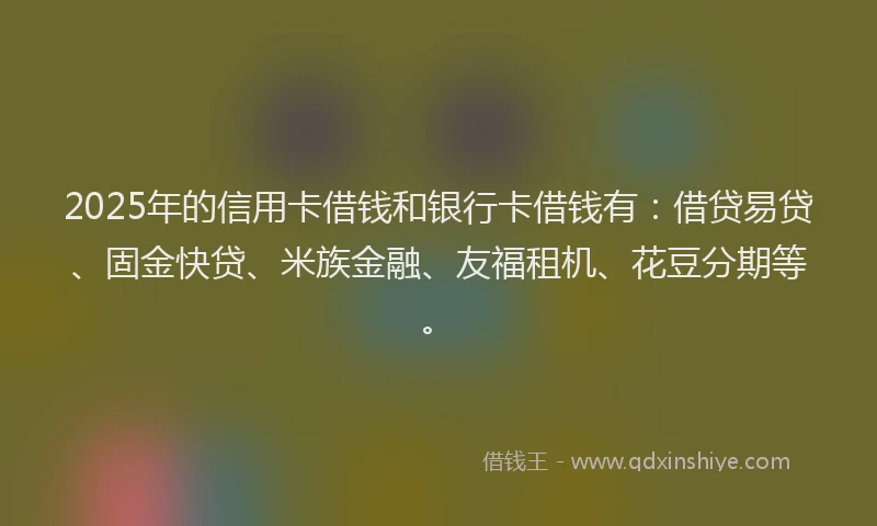 2025年的信用卡借钱和银行卡借钱有：借贷易贷、固金快贷、米族金融、友福租机、花豆分期等。