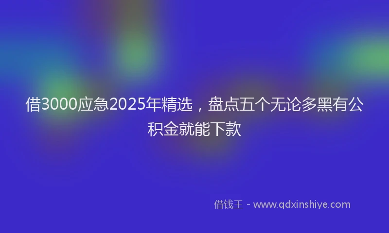 借3000应急2025年精选，盘点五个无论多黑有公积金就能下款