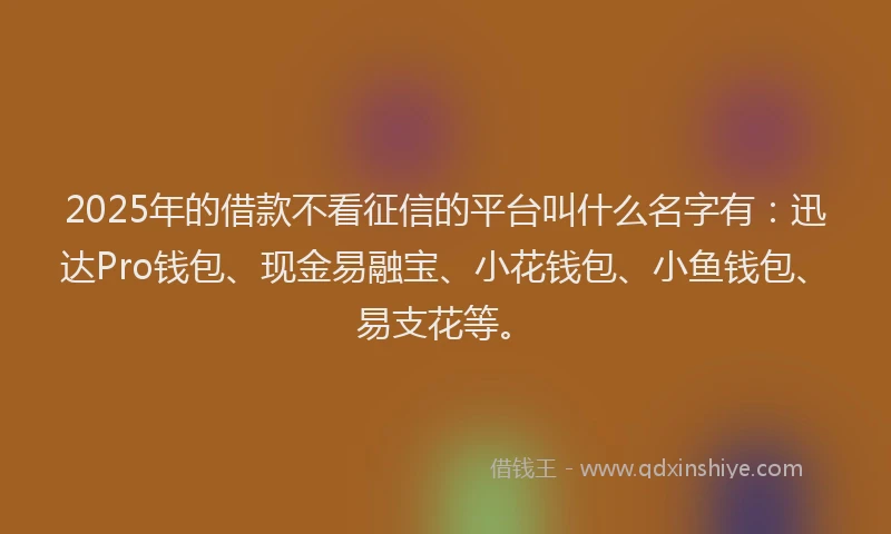 2025年的借款不看征信的平台叫什么名字有：迅达Pro钱包、现金易融宝、小花钱包、小鱼钱包、易支花等。