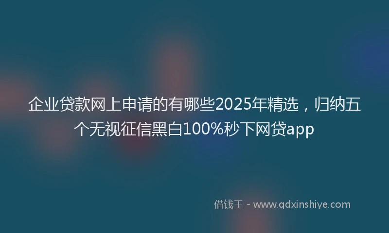 企业贷款网上申请的有哪些2025年精选，归纳五个无视征信黑白100%秒下网贷app