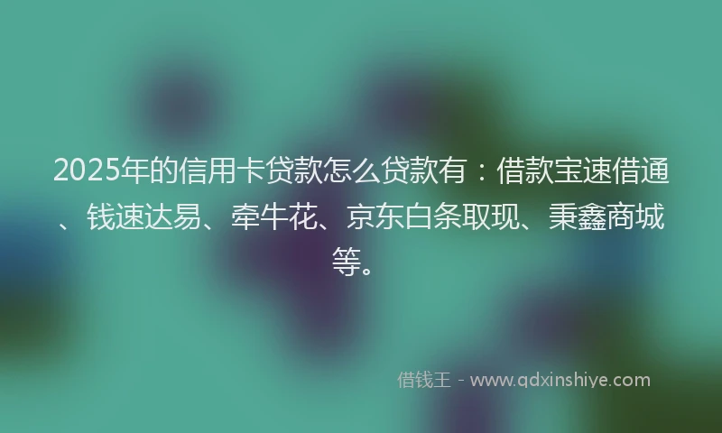 2025年的信用卡贷款怎么贷款有：借款宝速借通、钱速达易、牵牛花、京东白条取现、秉鑫商城等。