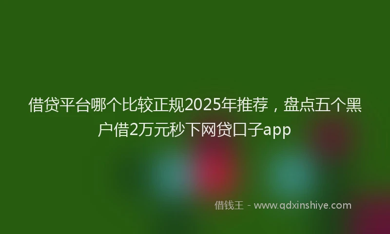 借贷平台哪个比较正规2025年推荐，盘点五个黑户借2万元秒下网贷口子app