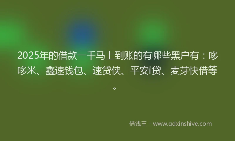 2025年的借款一千马上到账的有哪些黑户有：哆哆米、鑫速钱包、速贷侠、平安i贷、麦芽快借等。