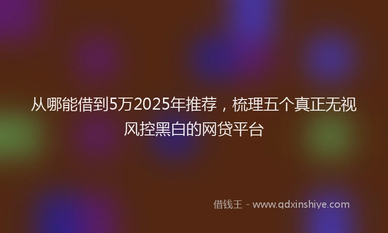从哪能借到5万2025年推荐，梳理五个真正无视风控黑白的网贷平台